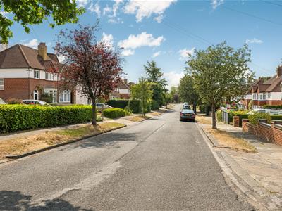Picture 20